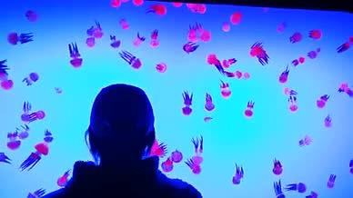 高清实拍粉红色小水母视频的预览图